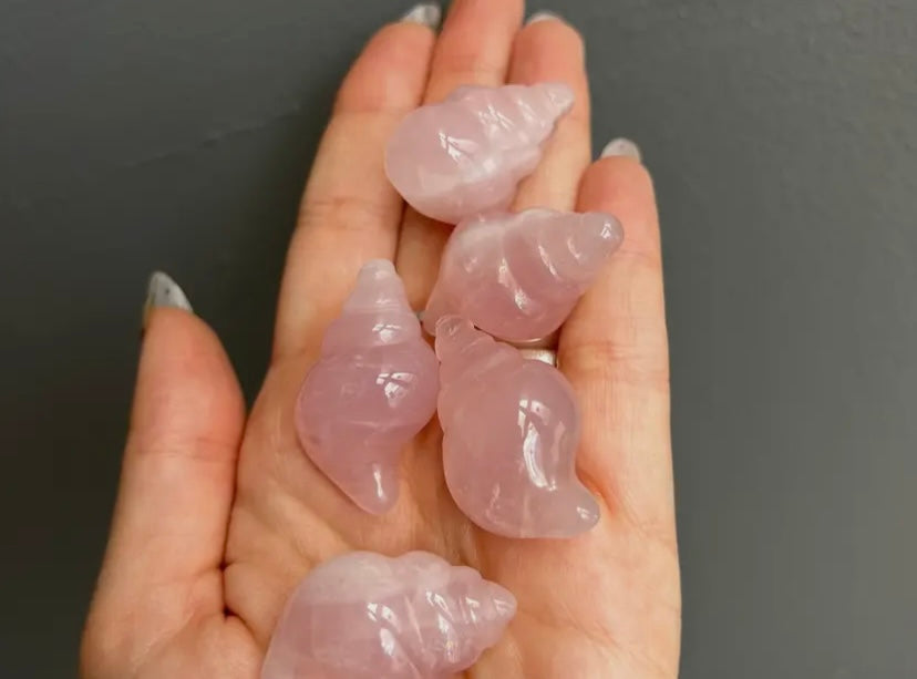 Rose Quartz Seashell